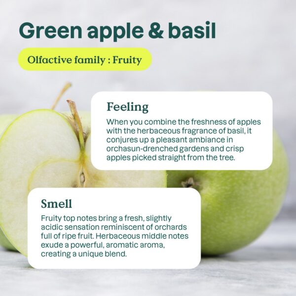 ATTITUDE Air Purifier – Green Apple & Basil, 227 g - Image 3