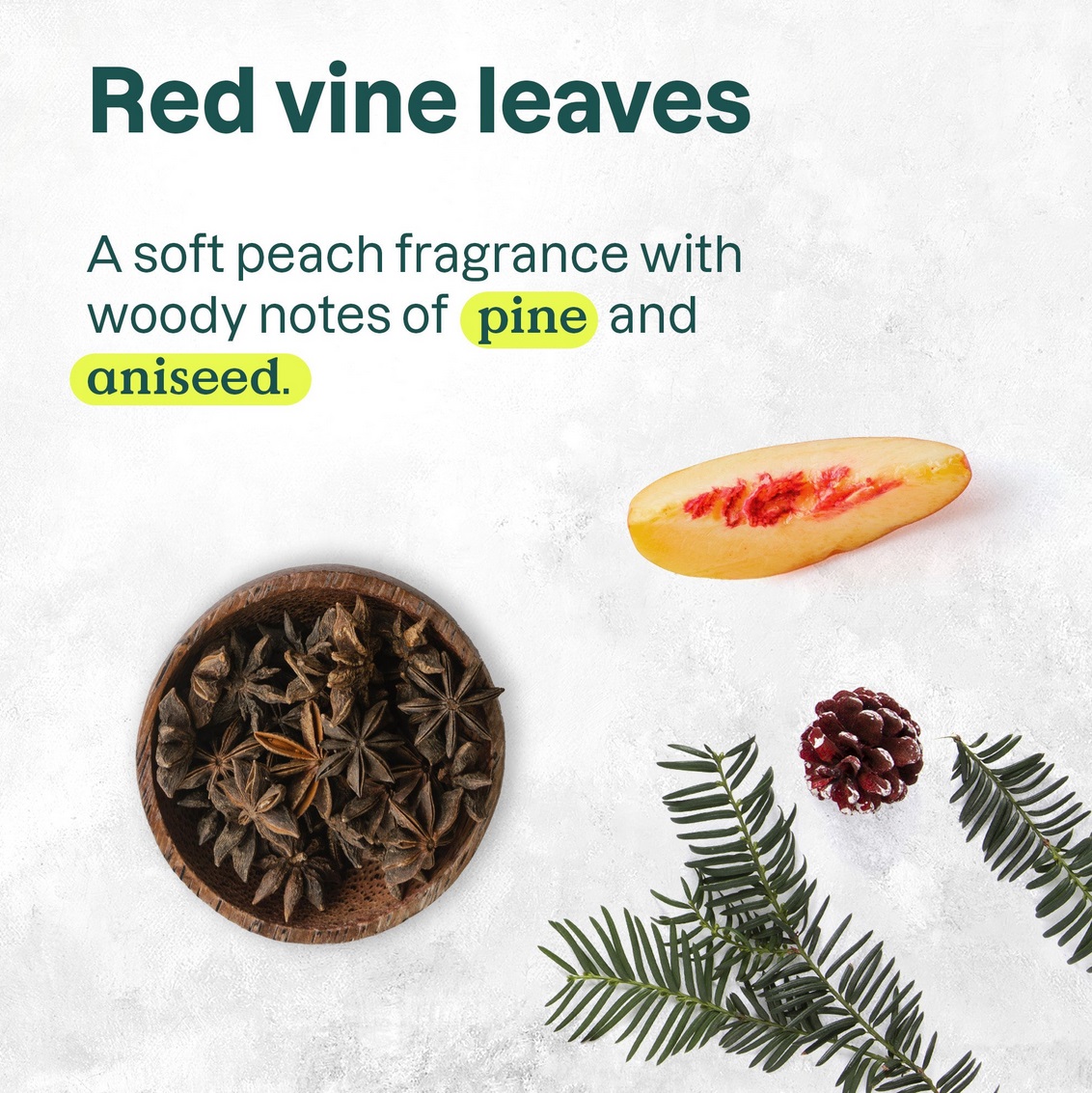 Glowing Shower Gel, Vine Leaves and Pomegranate, Super leaves, ATTITUDE - Image 2