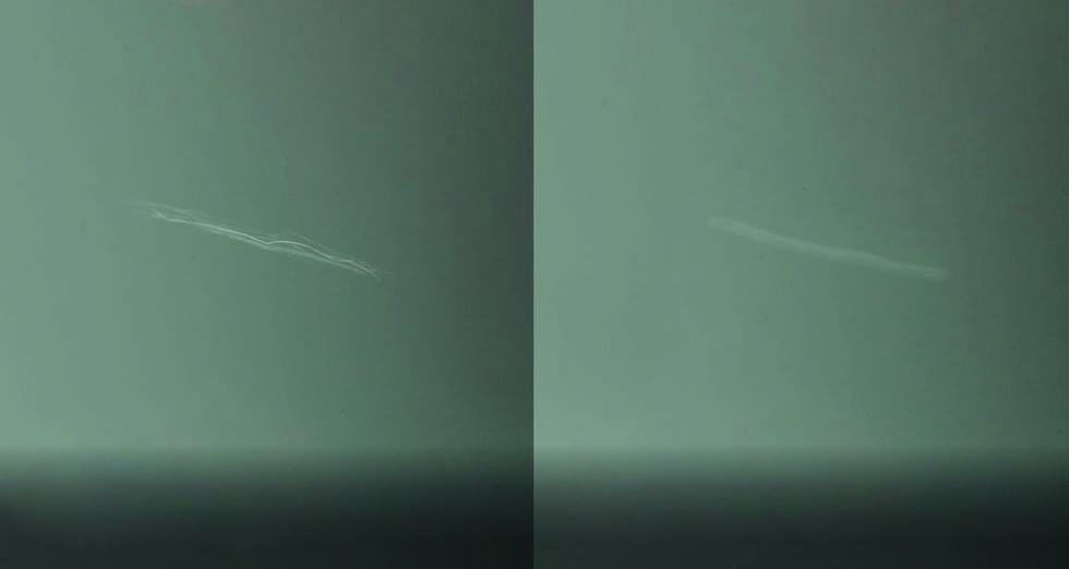 QUIXX Paint Repair Pen Clear Coat Touch Up for Deep Scratches & Chips, ref. 10010 - Image 12