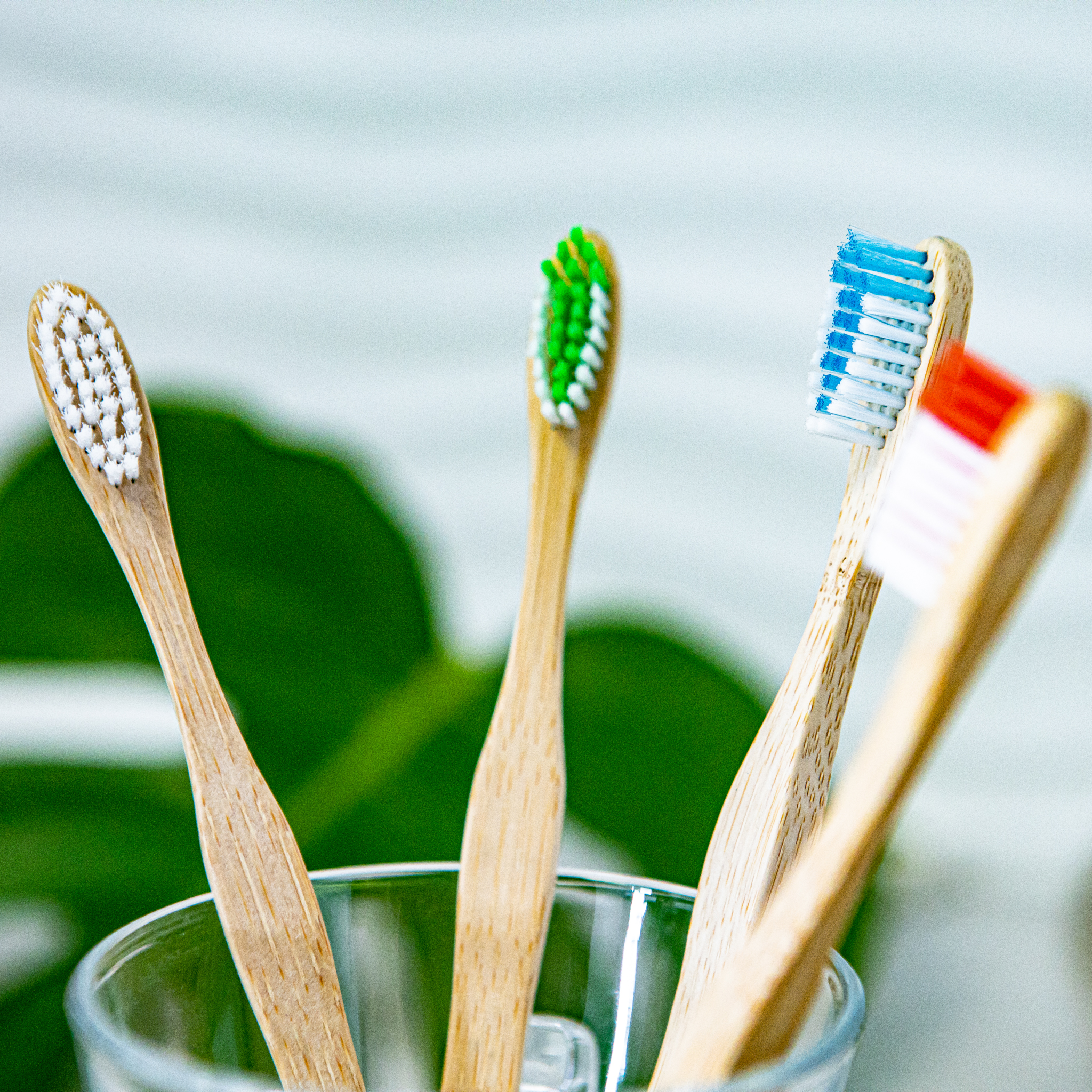 OLA Bamboo Toothbrushes - Image 3