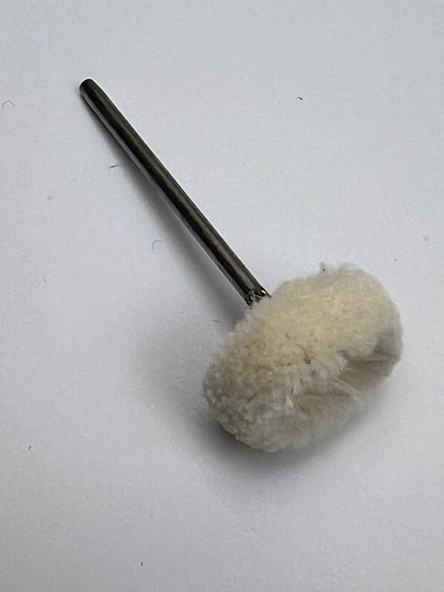 Polirapid Round Cotton Polishing Brushes, Mounted Disc, 21 mm, 6 Pack, By Polirapid in Germany - Image 9