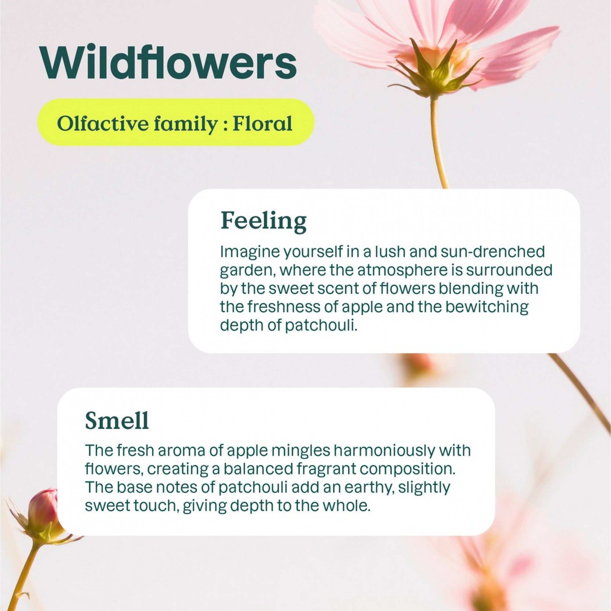 ATTITUDE Nature + Technology Wildflowers Fabric Softener 40 Loads - Image 2